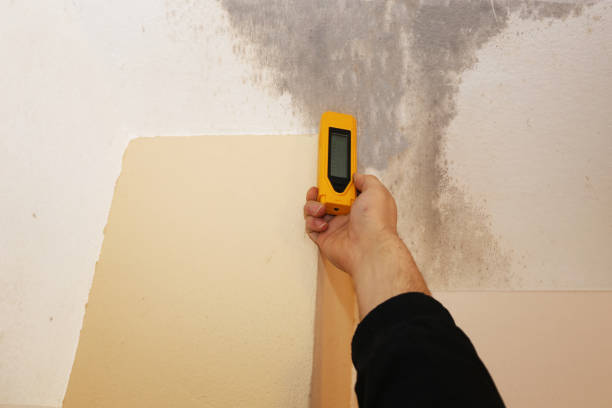 Best Forensic Mold Investigation  in Lake Linden, MI