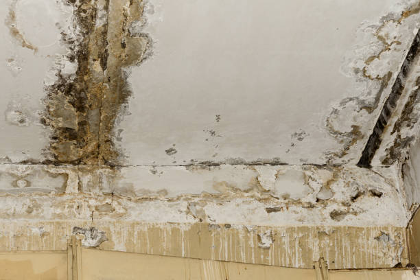 Best Indoor Air Quality Assessment  in Lake Linden, MI