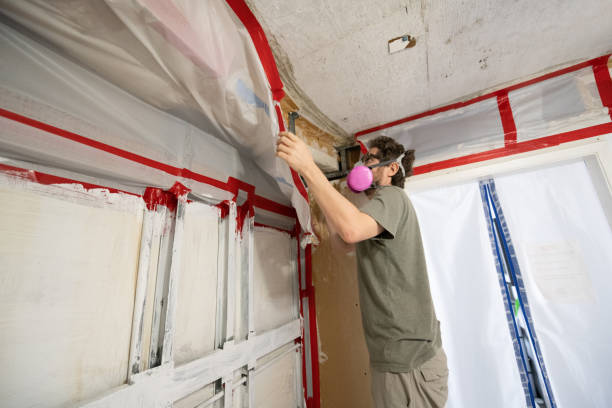  Lake Linden, MI Mold Removal Pros