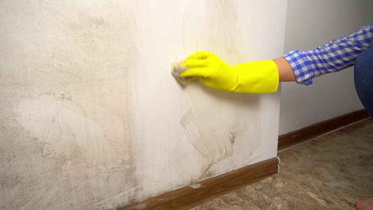 Best Commercial Mold Inspection  in Lake Linden, MI